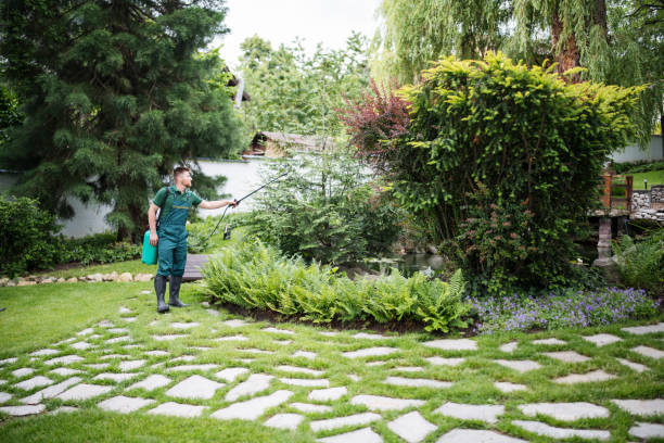 Best Best Pest Control Near Me  in Safford, AZ