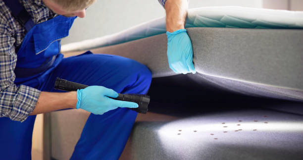 Pest Prevention Services in Safford, AZ