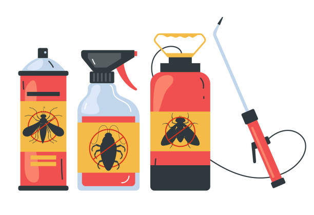 Best Pest Control Treatment  in Safford, AZ