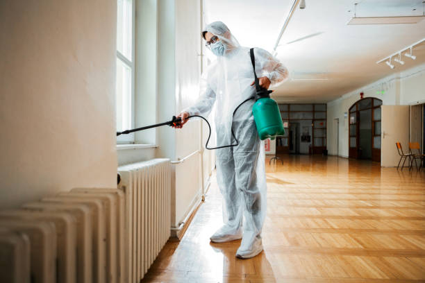 Best Pest Control Treatment  in Safford, AZ